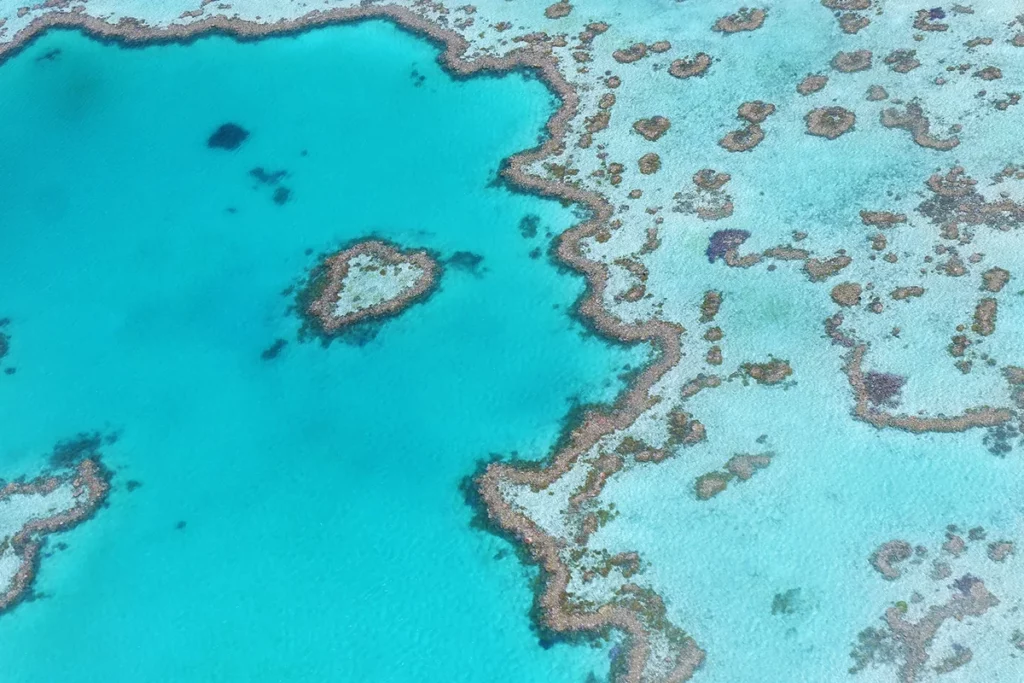 Australia: Great Barrier Reef, Australia
